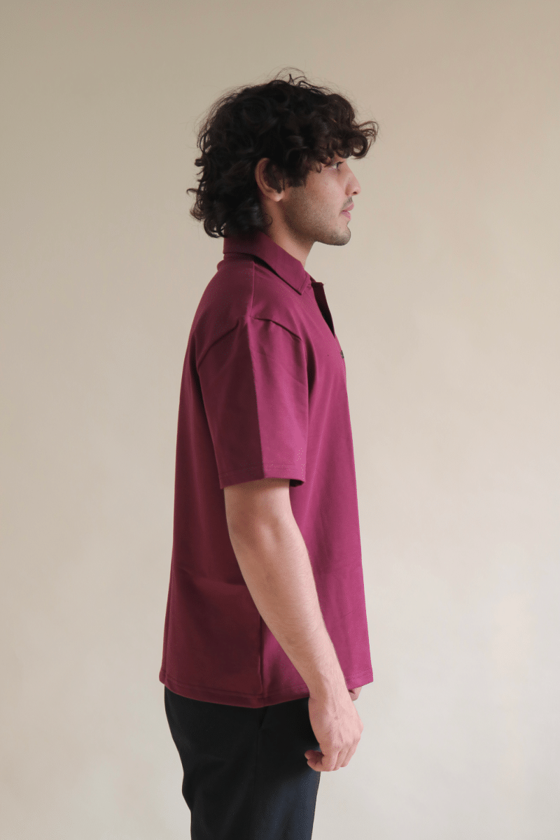 Deep merlot -wine —  Polo